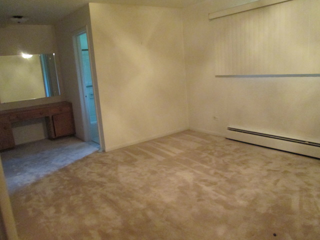 6710 S Madison St, Willowbrook, IL 60527 photo 10