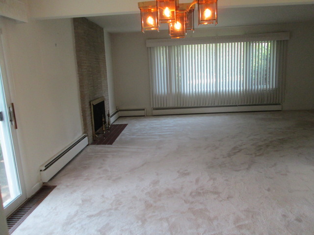 6710 S Madison St, Willowbrook, IL 60527 photo 4