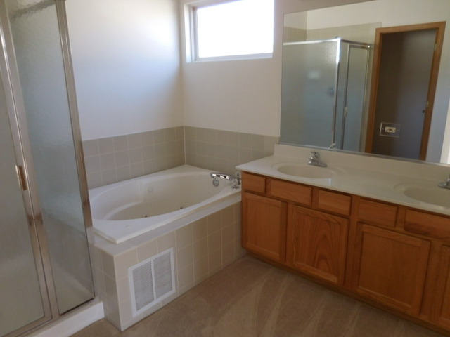 6825 Sahara Dr, Plainfield, IL 60586 photo 15