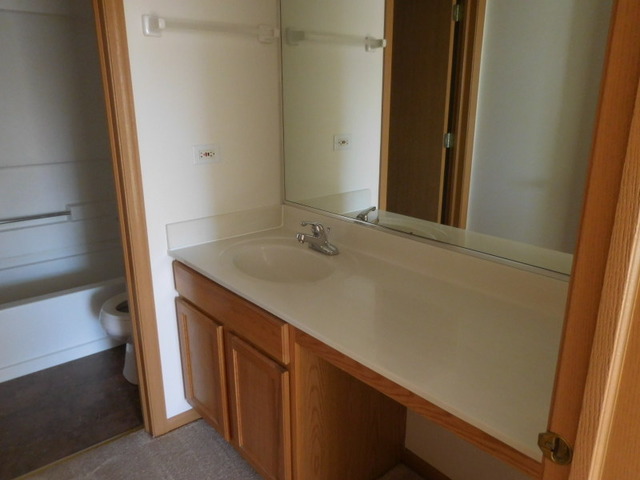 6825 Sahara Dr, Plainfield, IL 60586 photo 17