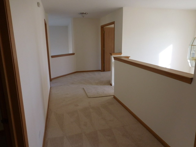 6825 Sahara Dr, Plainfield, IL 60586 photo 19