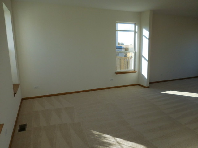 6825 Sahara Dr, Plainfield, IL 60586 photo 5