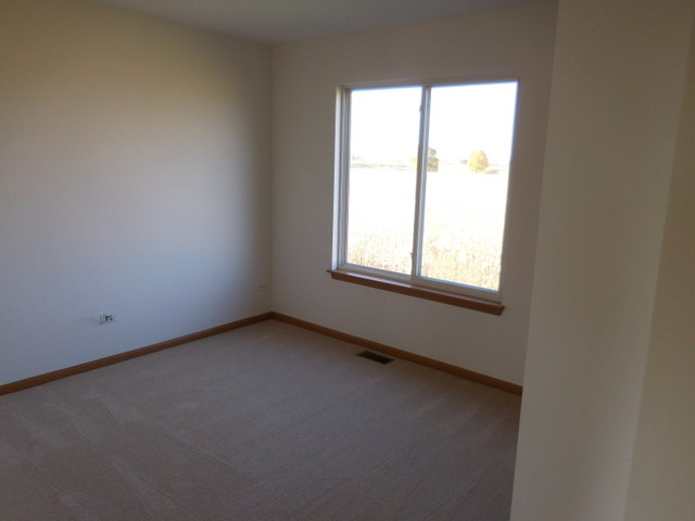 6825 Sahara Dr, Plainfield, IL 60586 photo 21