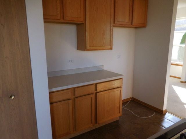 6825 Sahara Dr, Plainfield, IL 60586 photo 8