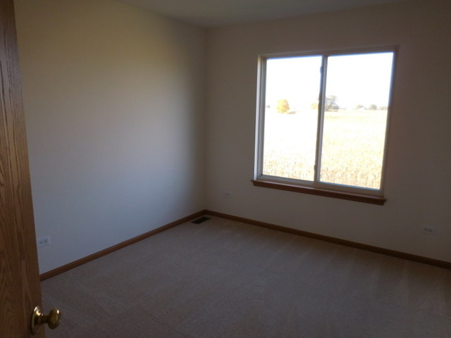 6825 Sahara Dr, Plainfield, IL 60586 photo 22