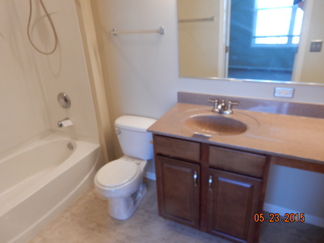 1617 Elysium Dr, Minooka, IL 60447 photo 11