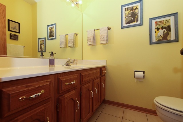 616 Rose Ln, Bartlett, IL 60103 photo 23