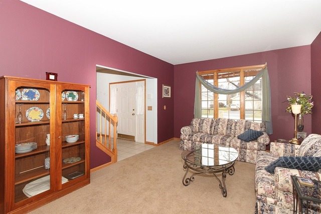 616 Rose Ln, Bartlett, IL 60103 photo 4