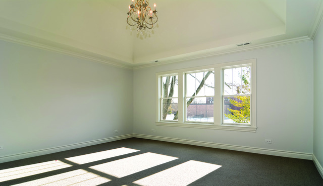 288 E Third St, Elmhurst, IL 60126 photo 9