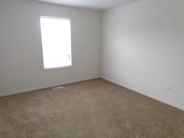 26540 Rustling Birch Way, Plainfield, IL 60585 photo 17