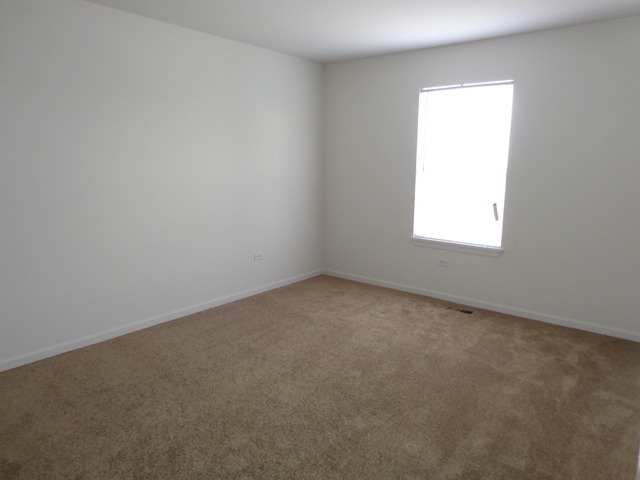 26540 Rustling Birch Way, Plainfield, IL 60585 photo 18