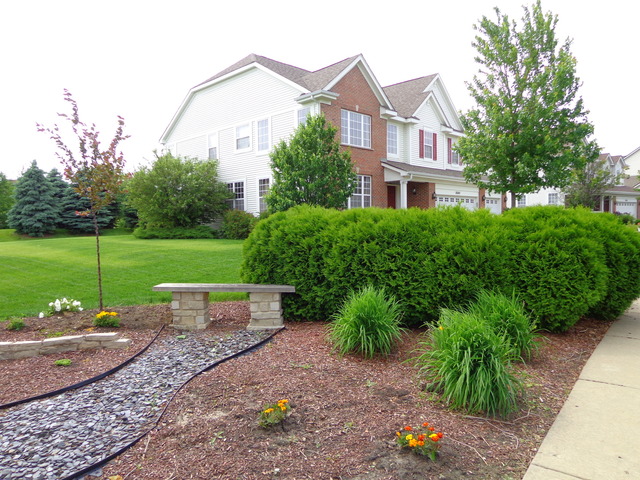 26540 Rustling Birch Way, Plainfield, IL 60585 photo 21