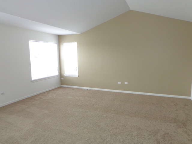26540 Rustling Birch Way, Plainfield, IL 60585 photo 15