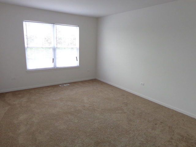 26540 Rustling Birch Way, Plainfield, IL 60585 photo 16