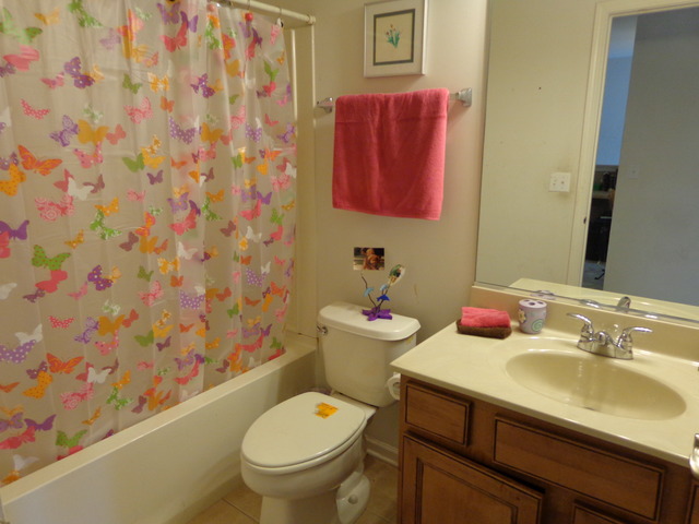 26540 Rustling Birch Way, Plainfield, IL 60585 photo 20