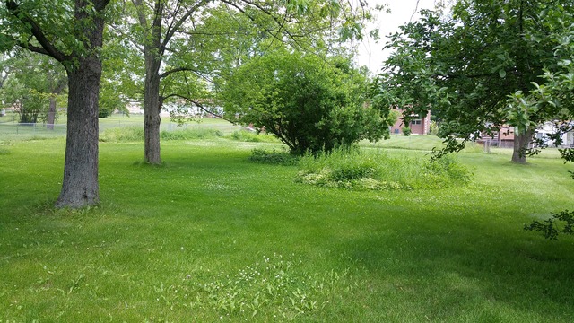 1085 Apricot St, Hoffman Estates, IL 60169 photo 2