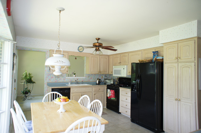 3343 Maple Leaf Dr, Glenview, IL 60026 photo 4