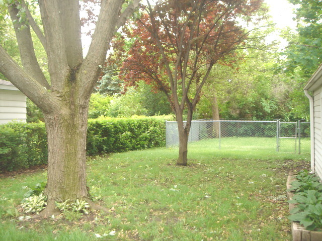 1027 E Algonquin Rd, Des Plaines, IL 60016 photo 4