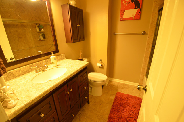 2283 Briar Ct #5-3, Hoffman Estates, IL 60169 photo 15