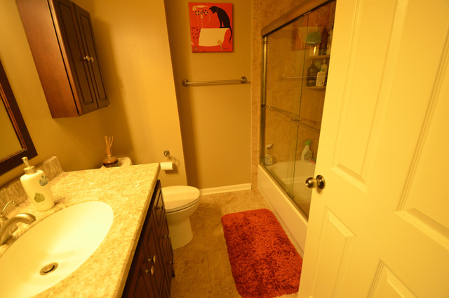 2283 Briar Ct #5-3, Hoffman Estates, IL 60169 photo 16