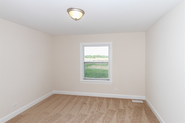 992 Longford Rd, Bartlett, IL 60103 photo 21