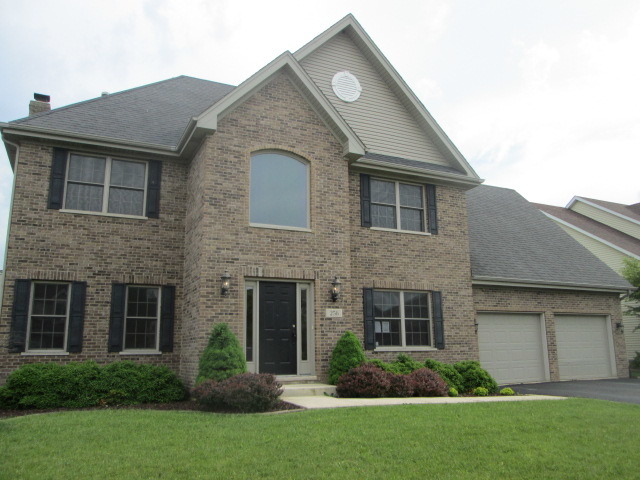 256 Aspen Dr, Beecher, IL 60401 photo 1