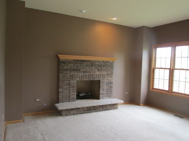 256 Aspen Dr, Beecher, IL 60401 photo 4