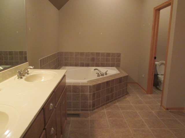 256 Aspen Dr, Beecher, IL 60401 photo 13