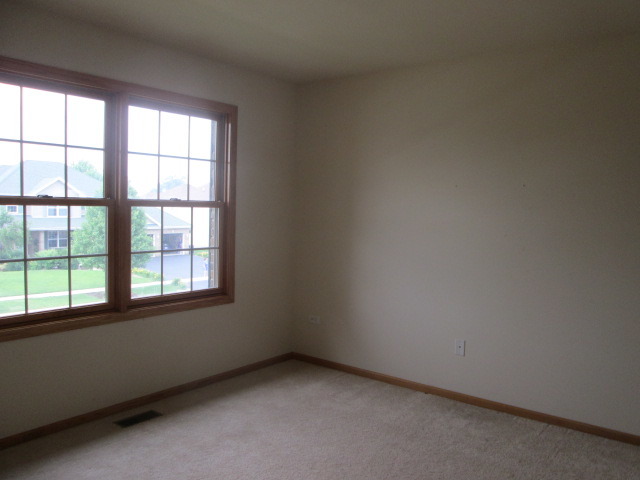 256 Aspen Dr, Beecher, IL 60401 photo 15