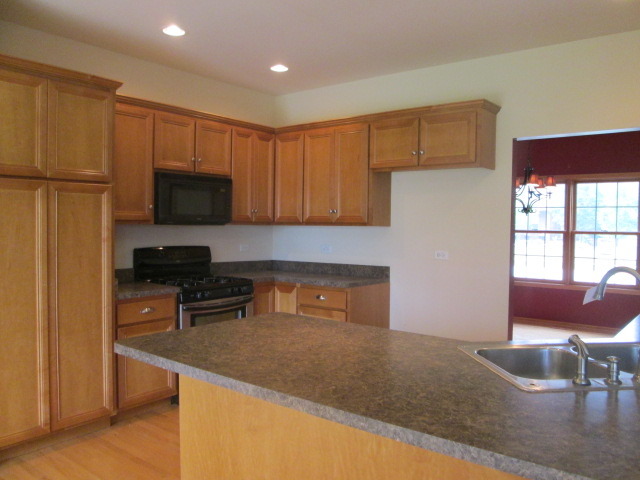 256 Aspen Dr, Beecher, IL 60401 photo 7
