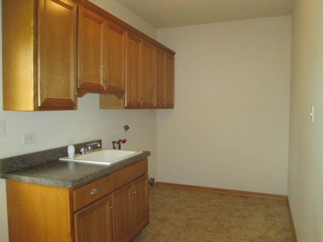 256 Aspen Dr, Beecher, IL 60401 photo 8