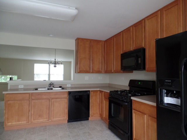 2463 Emily Ln, Elgin, IL 60124 photo 4