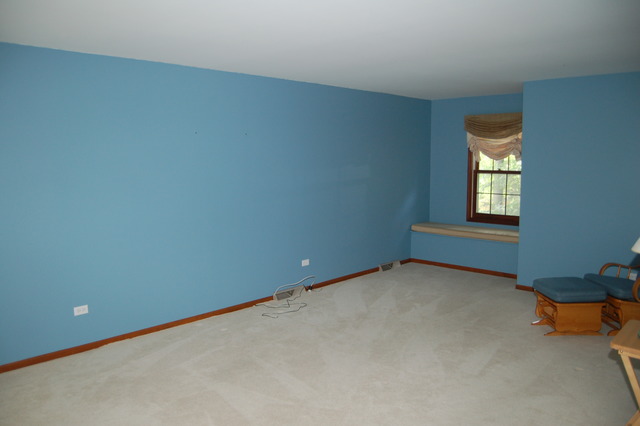 270 Jervey Ln, Bartlett, IL 60103 photo 7