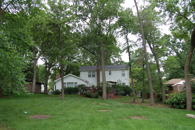 270 Jervey Ln, Bartlett, IL 60103 photo 5