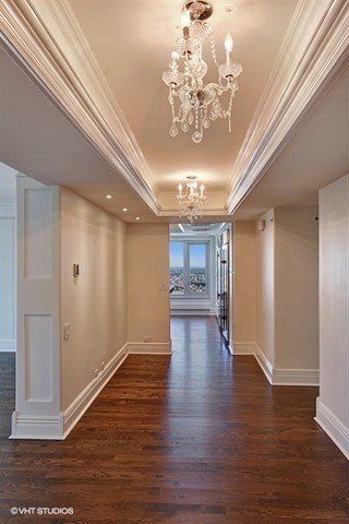 132 E Delaware Pl #5301, Chicago, IL 60611 photo 3
