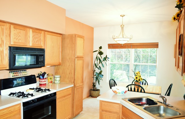 4143 Oak Tree Ln, Plainfield, IL 60586 photo 5