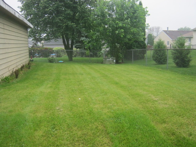 26 W151 Harrison Ave, Wheaton, IL 60187 photo 13