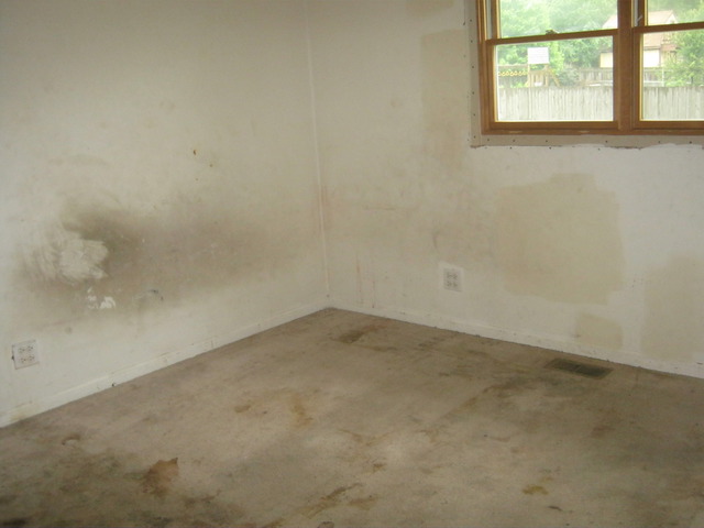 26 W151 Harrison Ave, Wheaton, IL 60187 photo 5