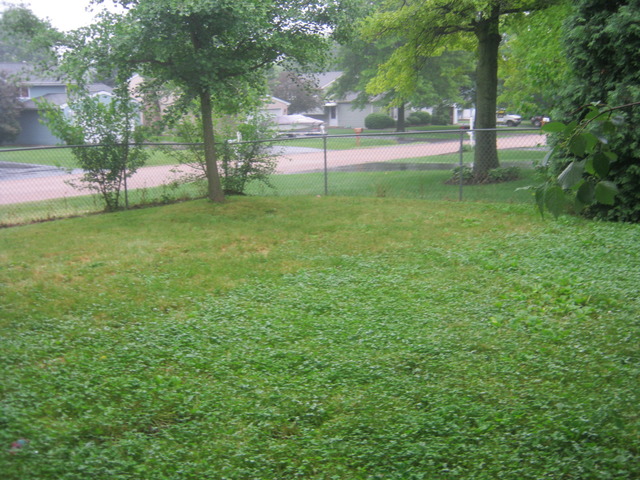 26 W151 Harrison Ave, Wheaton, IL 60187 photo 12