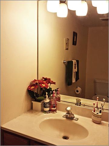 21659 W Joyce Ct, Plainfield, IL 60544 photo 11