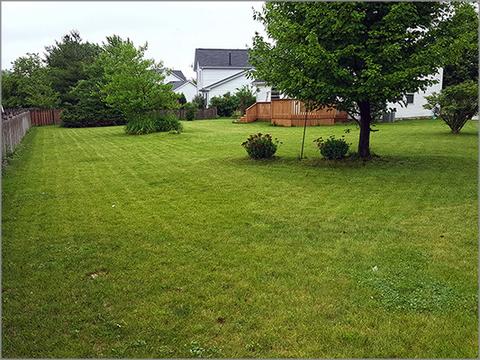 21659 W Joyce Ct, Plainfield, IL 60544 photo 20