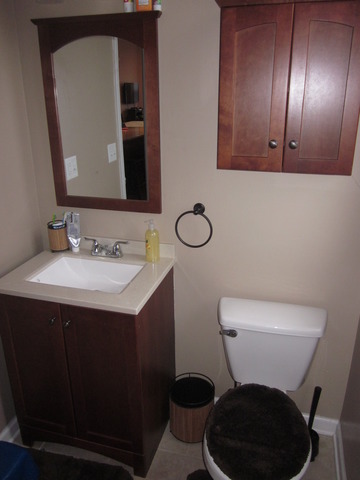 517 E Bowen Ave, Chicago, IL 60653 photo 10