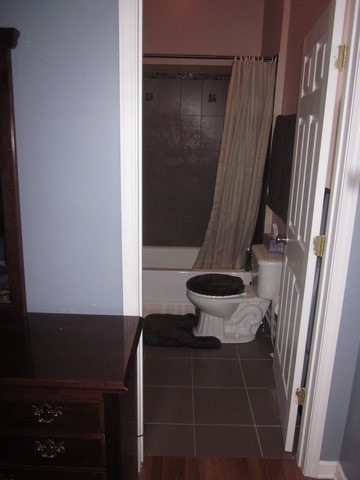 517 E Bowen Ave, Chicago, IL 60653 photo 13