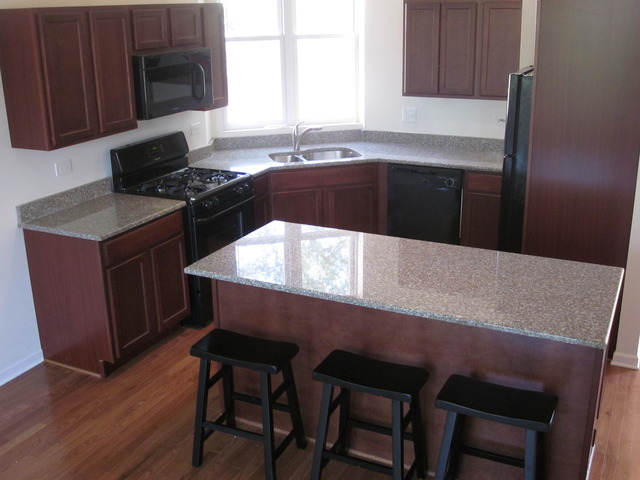517 E Bowen Ave, Chicago, IL 60653 photo 2
