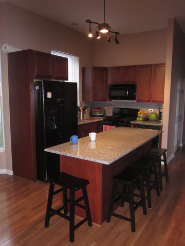 517 E Bowen Ave, Chicago, IL 60653 photo 9