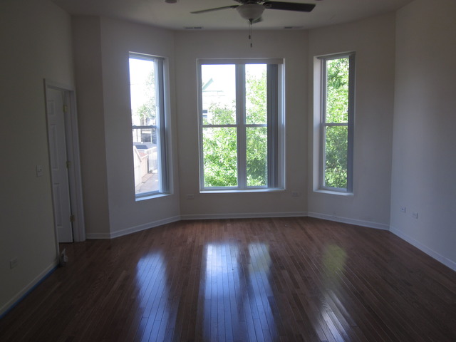 517 E Bowen Ave, Chicago, IL 60653 photo 3