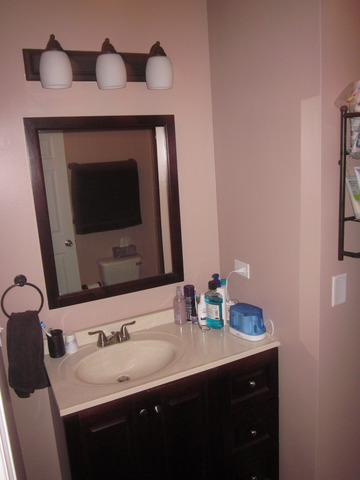 517 E Bowen Ave, Chicago, IL 60653 photo 11