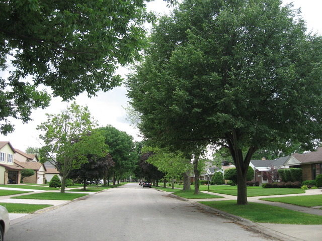 1414 S 4th Ave, Des Plaines, IL 60018 photo 22