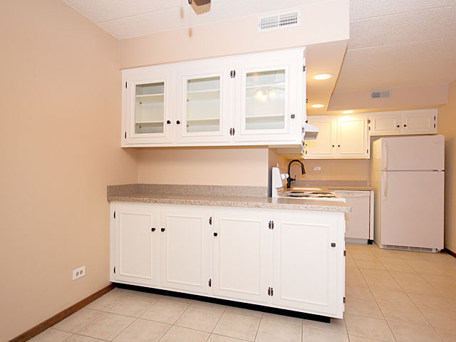 1660 E Thacker St #1c, Des Plaines, IL 60016 photo 5