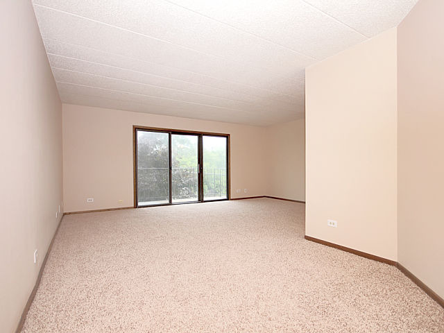 1660 E Thacker St #1c, Des Plaines, IL 60016 photo 11